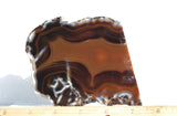 Brazilian Agate Rock Slab 185