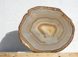 Brazilian Agate Rock Slab 184