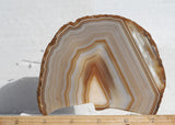 Brazilian Agate Rock Slab 183