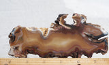 Brazilian Agate Rock Slab 186