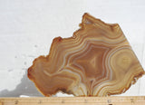 Brazilian Agate Rock Slab 187