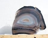 Brazilian Agate Rock Slab 177