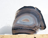Brazilian Agate Rock Slab 177