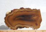 Brazilian Agate Rock Slab 175