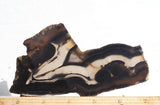 Brazilian Agate Rock Slab 190