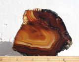 Piranha Slab 74