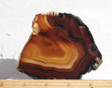 Piranha Slab 74