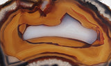 Brazilian Agate Polished Rock Slab 197
