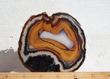 Brazilian Agate Polished Rock Slab 197