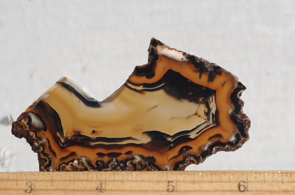 Brazilian Agate Rock Slab 199 – DD Rocks