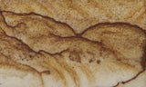 Oregon Picture Jasper Rock Slab 468
