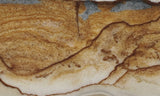 Oregon Picture Jasper Rock Slab 468