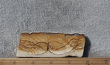 Oregon Picture Jasper Rock Slab 468