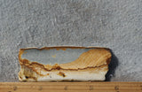 Oregon Picture Jasper Rock Slab 463