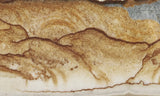 Oregon Picture Jasper Rock Slab 467