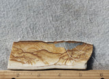 Oregon Picture Jasper Rock Slab 467