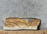Oregon Picture Jasper Rock Slab 467