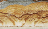 Oregon Picture Jasper Rock Slab 466