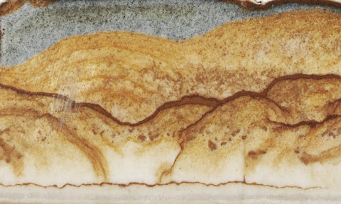 Oregon Picture Jasper Rock Slab 466