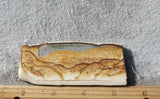 Oregon Picture Jasper Rock Slab 466
