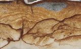 Oregon Picture Jasper Rock Slab 469