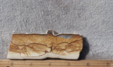 Oregon Picture Jasper Rock Slab 469