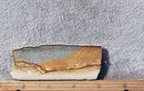 Oregon Picture Jasper Rock Slab 465