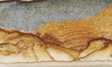 Oregon Picture Jasper Rock Slab 464