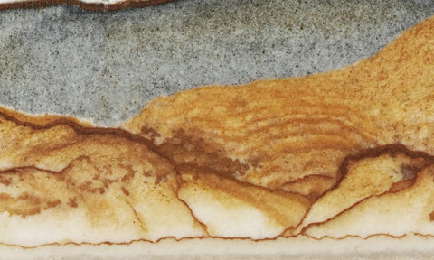 Oregon Picture Jasper Rock Slab 464