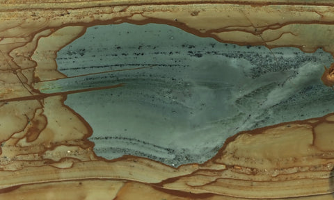 Succor Creek Jasper 472