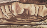 Biggs Jasper Rock Slab 468