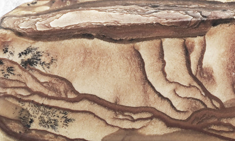 Biggs Jasper Rock Slab 468