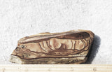 Biggs Jasper Rock Slab 468