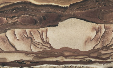 Biggs Jasper Rock Slab 484