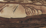 Biggs Jasper Rock Slab 469