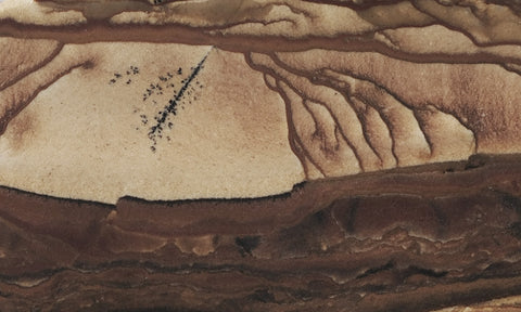 Biggs Jasper Rock Slab 469