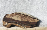 Biggs Jasper Rock Slab 469