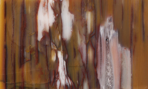 Petrified Wood Rock Slab 99