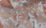 Youngite Slab 33