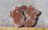 Youngite Slab 30
