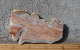 Youngite Slab 35