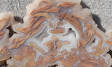 Youngite Slab 31