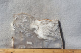 Curiosity Shop Rock Slab 458
