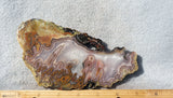 Agua Nueva Agate Rock Slab 21
