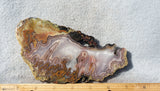 Agua Nueva Agate Rock Slab 21