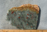 Curiosity Shop Rock Slab 470