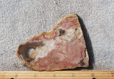 Curiosity Shop Rock Slab 467