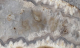 Bargain Bin D Slab 875