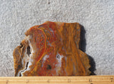 Curiosity Shop Rock Slab 452