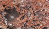 Curiosity Shop Rock Slab 399